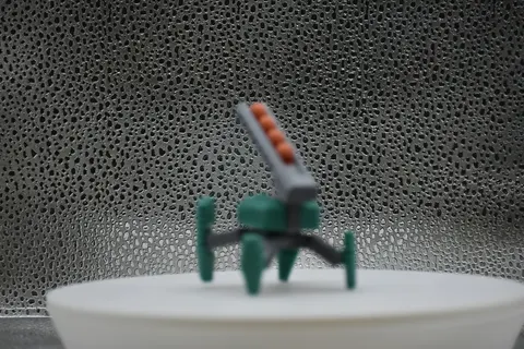DSC0301